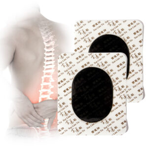 Health Care Herbal Snow Lotus Extract Arthritis Patches Arthritis Pain Management Pads